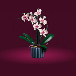 LEGO® Icons 10311 Orchidej
