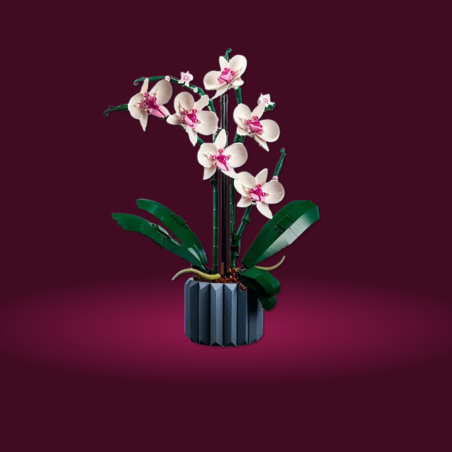 LEGO® Icons 10311 Orchidej