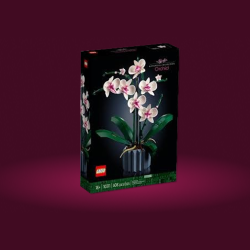 LEGO® Icons 10311 Orchidej