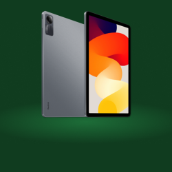 Xiaomi Redmi Pad SE 8GB/256GB šedý
