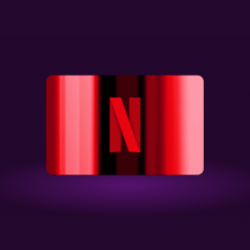 NETFLIX  Premium na rok