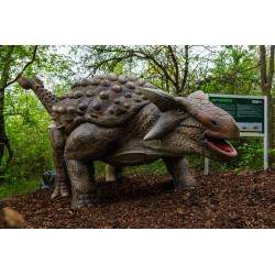 Dino live  rodinné vstupné